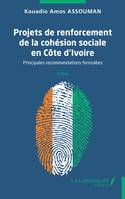 Projets de renforcement de la cohésion sociale en Côte d’Ivoire, Principales recommandations formulées