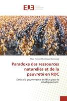 Paradoxe des ressources naturelles et de la pauvreté en RDC, Défis à la gouvernance de l'Etat pour le développement