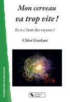 Mon cerveau va trop vite !, Et si c'était des rayures ?