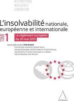 INSOLVABILITE NATIONALE EUROPEENNE ET INTERNATIONALE T.1