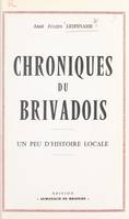 Chroniques du Brivadois, Un peu d'histoire locale