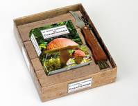 Le coffret Larousse des champignons