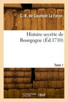 Histoire secrète de Bourgogne. Tome 1