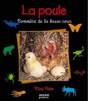 La Poule : Commère de la basse, commère de la basse-cour