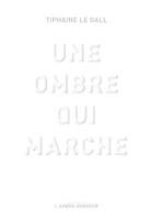 Une ombre qui marche, Essai sur les fondements et les enjeux de l'oeuvre absente de timothy grall, par maxime desvaux, maître de conférence émerite en littérature française et comparée à l'université sorbonne, paris iv