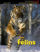 FELINS (LES)