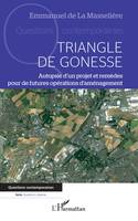 Triangle de Gonesse, Autopsie d'un projet et remèdes pour de futures opérations d'aménagement