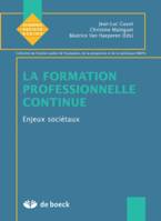 La formation professionnelle continue 2, Enjeux sociétaux