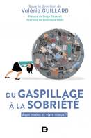 Du gaspillage à la sobriété, Avoir moins et vivre mieux ?