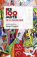 Les 100 mots de la sociologie