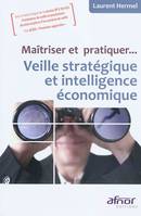 Maîtriser et pratiquer... Veille stratégique et intelligence économique