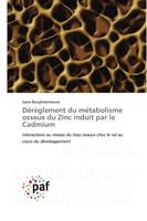 Dérèglement du métabolisme osseux du Zinc induit par le Cadmium, Interactions au niveau du tissu osseux chez le rat au cours du développement