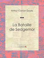 La Bataille de Sedgemor, Roman d'aventures historique