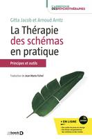 La thérapie des schémas en pratique, Principes et outils