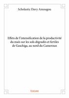 Effets de l'intensification de la productivité du maïs sur les sols dégradés et fertiles de gaschiga, au nord du cameroun