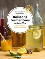 Boissons fermentées naturelles, Sodas, limonades, kefirs et kombuchas