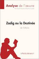 Zadig ou la Destinée de Voltaire (Analyse de l'oeuvre), Analyse complète et résumé détaillé de l'oeuvre