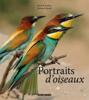 Portraits D'Oiseaux