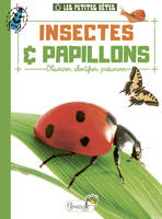 Insectes & papillons, Observer, identifier, préserver