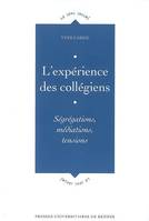 L'Expérience des collégiens, Ségrégations, médiations, tensions