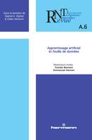 Revue des nouvelles technologies de l'information, n° A-6, Apprentissage artificiel et fouille de données