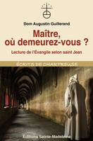 "Maître où demeurez-vous ?", Lecture de l'évangile de saint jean par un contemplatif