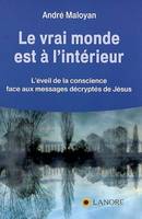 Le vrai monde est à l'intérieur, L'éveil de la conscience face aux messages décryptés de Jésus