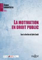 La motivation en droit public, Thèmes et commentaires