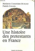Une histoire des protestants en France, XVIe-XXe siècle