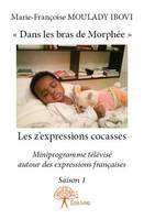 Miniprogramme télévisé autour des expressions françaises, 1, Les z'expressions cocasses, Miniprogramme télévisé autour des expressions françaises - Saison 1