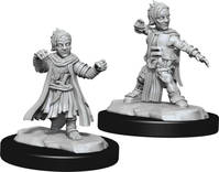 Halfling - Monk (male)