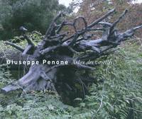 Giuseppe Penone, Arbre des voyelles, 