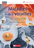 Maladies des volailles