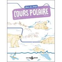 Suis du doigt l'ours polaire