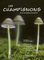 LES CHAMPIGNONS DE LA MONTAGNE JURASSIENNE