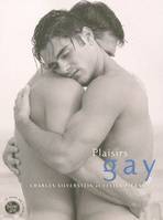 Plaisirs gay