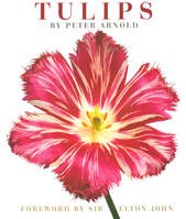 Tulips by Peter Arnold