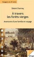 A travers les forêts vierges. Aventures d'une famille en voyage, Aventures d'une famille en voyage