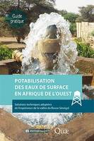 Potabilisation des eaux de surface en Afrique de l'Ouest, Solutions techniques adaptées de l’expérience de la vallée du fleuve Sénégal