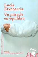 Un miracle en équilibre, roman