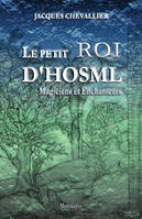 Le Petit Roi d'Hosml, Magiciens et Enchanteurs