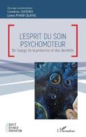 L'esprit du soin psychomoteur, De l'usage de la présence et des identités