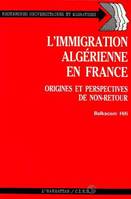 Les Vietnamiens en France : insertion et identité, Origines et perspectives de non-retour