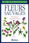 FLEURS SAUVAGES NP