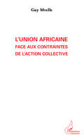 L'Union Africaine face aux contraintes de l'action collective