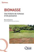 Biomasse, Une histoire de richesse et de puissance