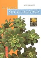 Plantes succulentes, comment les choisir et les cultiver facilement