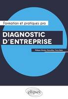 Diagnostic d'entreprise. Performance, Capital immatériel et Risques