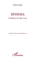 Spinoza, Problèmes de l'idée vraie