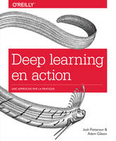 Deep learning en action - Une approche par la pratique - collection O'Reilly, collection O'Reilly